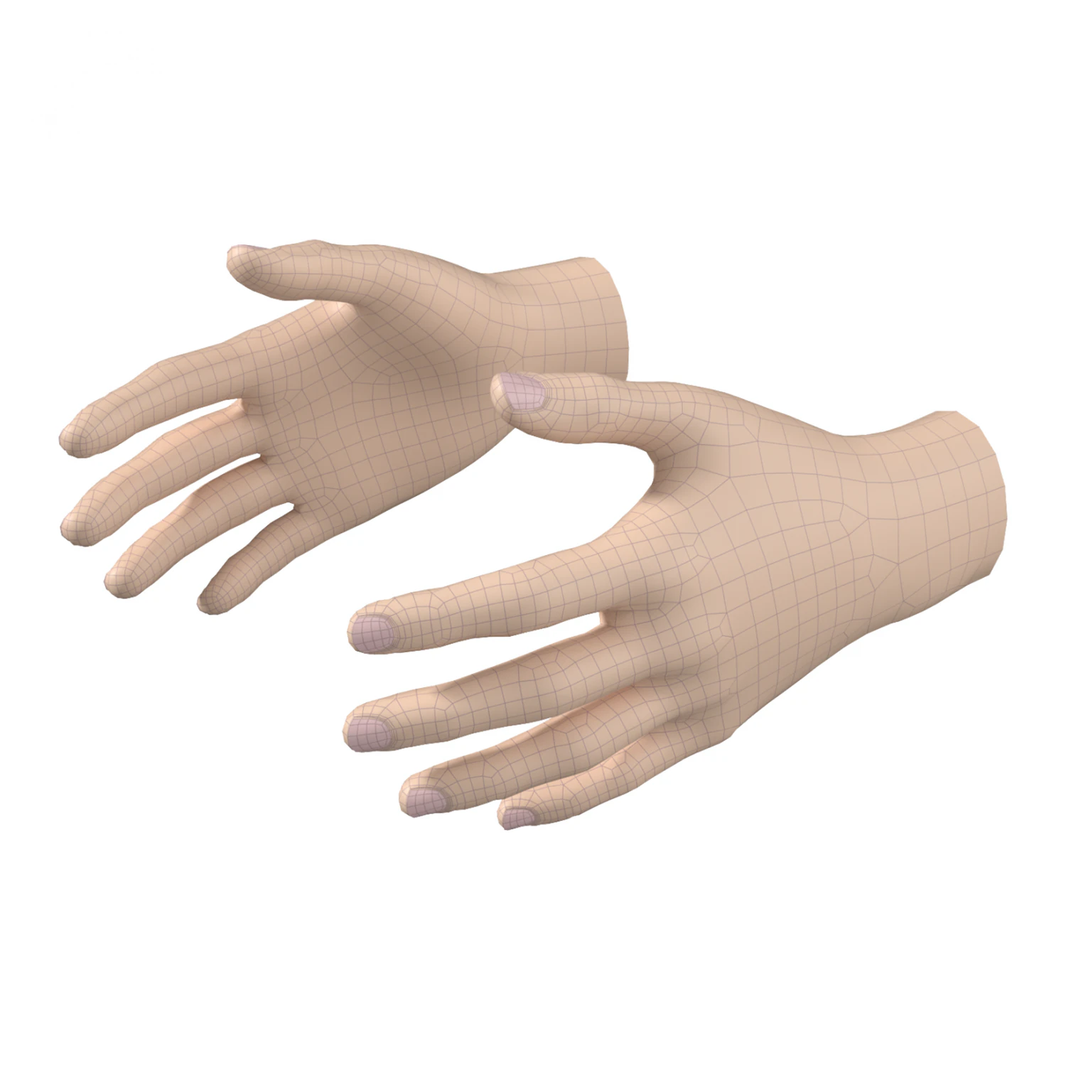 Female Hand Base Mesh 02 3D Model .c4d .max .obj .3ds .fbx .stl .blend 