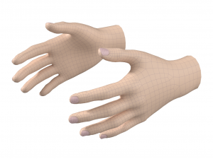 Female Hand Base Mesh 02 3D Модель
