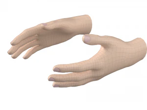 Female Hand Base Mesh 02 3D Model