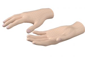 Female Hand Base Mesh 02 3D 모델