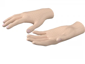 Female Hand Base Mesh 02 3D Model