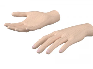 Female Hand Base Mesh 02 3D Model
