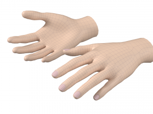 Female Hand Base Mesh 02 3D 모델