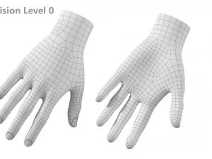 Female Hand Base Mesh 02 3D Model
