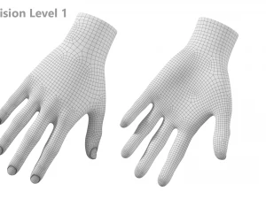 Female Hand Base Mesh 02 3D Model