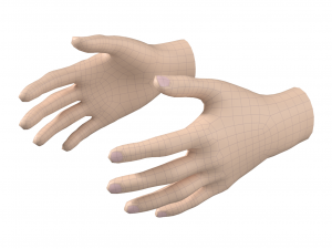 Female Hand Base Mesh 03 3D Модель