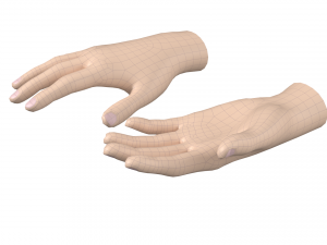Female Hand Base Mesh 03 Modelo 3D