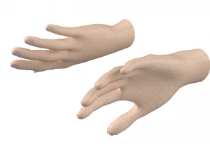 महिला हाथ आधार जाल 03 3D मॉडल