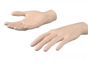 महिला हाथ आधार जाल 03 3D मॉडल