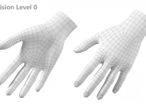 महिला हाथ आधार जाल 03 3D मॉडल