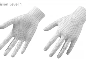 महिला हाथ आधार जाल 03 3D मॉडल
