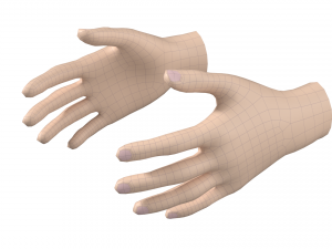 Female Hand Base Mesh 04 Modelo 3D