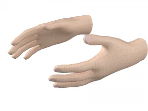 Female Hand Base Mesh 04 3D Model