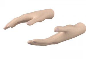 Female Hand Base Mesh 04 3D Model