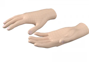 Female Hand Base Mesh 04 3D Model