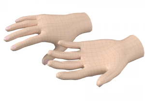 Female Hand Base Mesh 04 3D Model