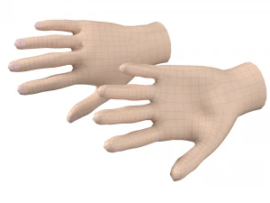 Female Hand Base Mesh 04 3D Model
