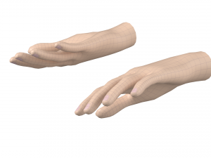 Female Hand Base Mesh 04 Modelo 3D