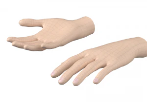 Female Hand Base Mesh 04 3D Model