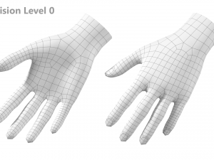 Female Hand Base Mesh 04 Modelo 3D