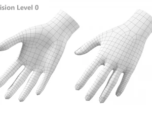 Female Hand Base Mesh 04 3D Model