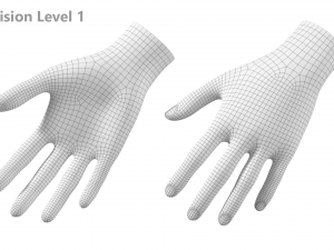 Female Hand Base Mesh 04 Modelo 3D