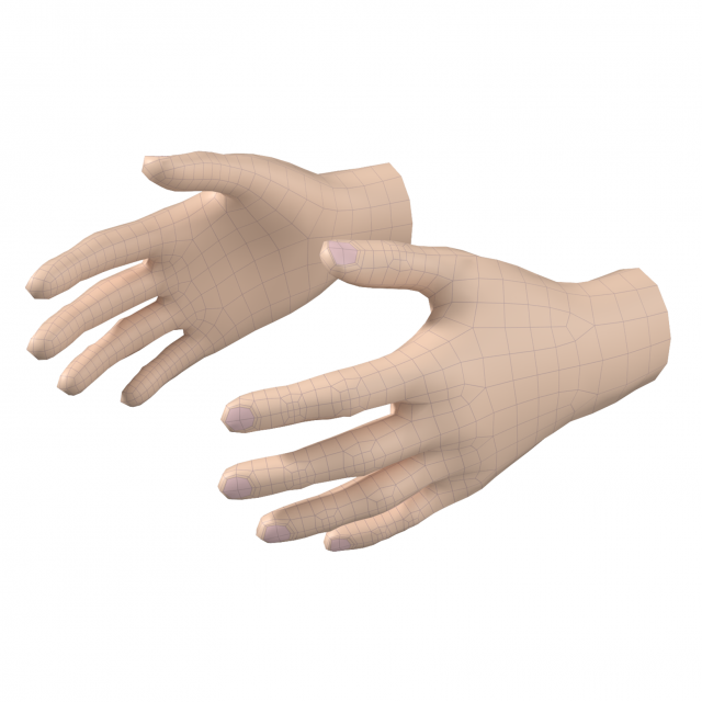 Female Hand Base Mesh 05 Modello 3D .c4d .max .obj .3ds .fbx .stl .blend 