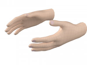 Female Hand Base Mesh 05 Modello 3D