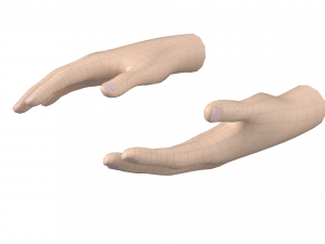 Female Hand Base Mesh 05 Modello 3D
