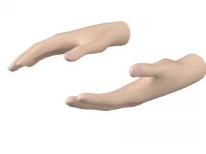Female Hand Base Mesh 05 3D Model