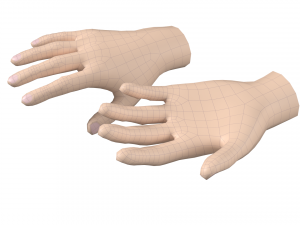 Female Hand Base Mesh 05 Modello 3D