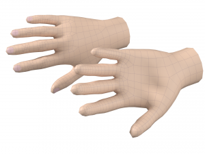 Female Hand Base Mesh 05 Modello 3D