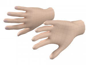 Female Hand Base Mesh 05 Modello 3D