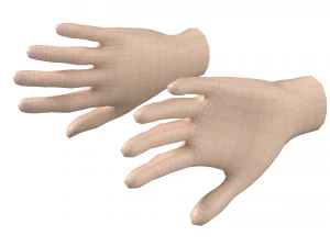 Female Hand Base Mesh 05 3D Model