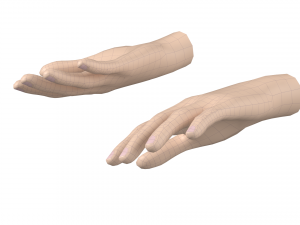 Female Hand Base Mesh 05 Modello 3D