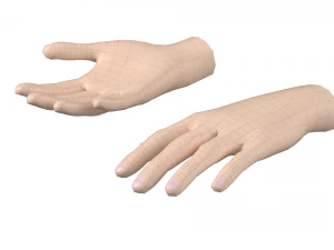Female Hand Base Mesh 05 3D Model