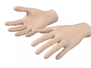 Female Hand Base Mesh 05 Modello 3D
