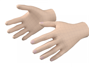 Female Hand Base Mesh 05 Modello 3D