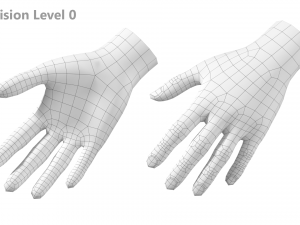 Female Hand Base Mesh 05 Modello 3D