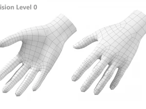 Female Hand Base Mesh 05 3D Model