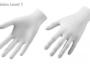 Female Hand Base Mesh 05 3D Model
