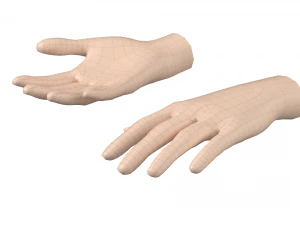 Female Hand Base Mesh 06 3D Model