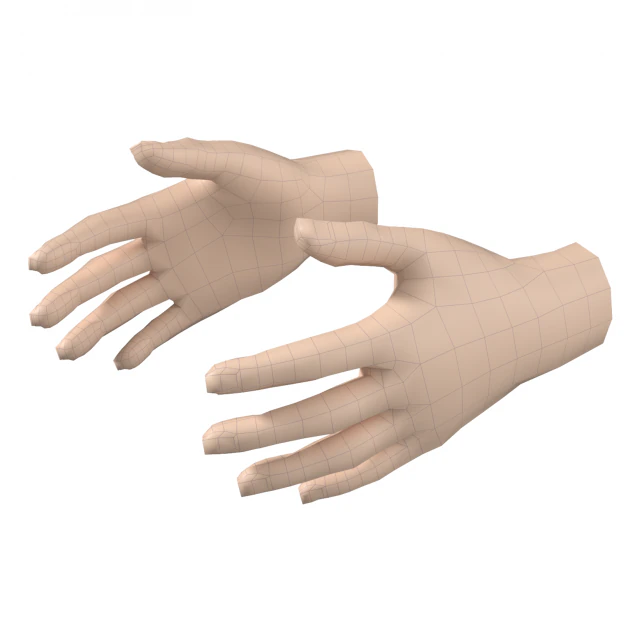 Malla de base de mano femenina 07 Modelo 3D .c4d .max .obj .3ds .fbx .stl .blend