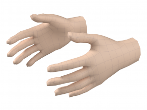 Female Hand Base Mesh 07 3D Модель