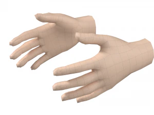 Malla de base de mano femenina 07 Modelo 3D
