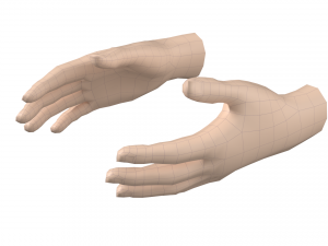 Female Hand Base Mesh 07 3D मॉडल