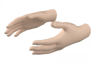 Malla de base de mano femenina 07 Modelo 3D