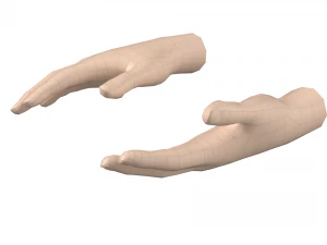 Malla de base de mano femenina 07 Modelo 3D