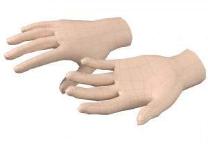 Malla de base de mano femenina 07 Modelo 3D