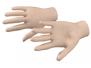 Female Hand Base Mesh 07 3D मॉडल
